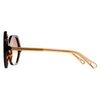 Chloe Sunglasses CH0008S Esther 004 Dark Havana and Brown Crystal Brown Gradient