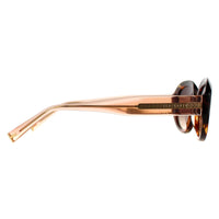Ted Baker Sunglasses TB1689 Penny 104 Brown Horn Brown Gradient