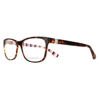 Kate Spade Glasses Frames Calley 086 Havana Women