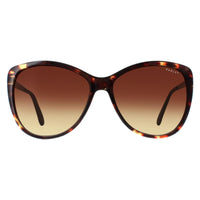 Radley Sunglasses Gwyneth 102 Havana Brown Gradient
