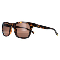 Calvin Klein Sunglasses R748S 206 Tortoise Brown