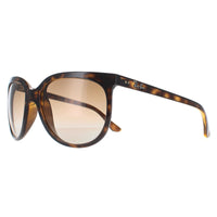 Rayban Sunglasses Cats 1000 4126 Havana Brown Gradient