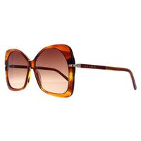 Ted Baker Sunglasses TB1668 Aniya 105 Tortoise Brown Gradient