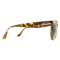 Ray-Ban Sunglasses RB4306 710/73 Havana Brown B-15