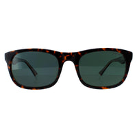 Polaroid Sunglasses PLD 2104/S/X KRZ/UC Havana Green Polarized