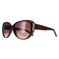 Ted Baker Sunglasses TB1290 Avignon 100 Brown Brown Gradient