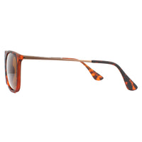 Montana Sunglasses MP34 C Brown Turtle Rubbertouch Brown Polarized
