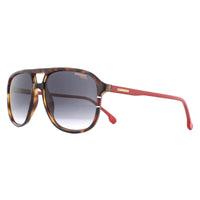 Carrera Sunglasses Carrera 173/S O63 9O Havana with Red Dark Grey Gradient