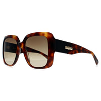 Longchamp Sunglasses LO713S 230 Havana Brown Gradient