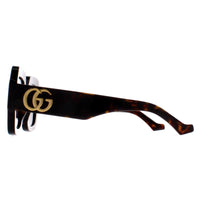 Gucci Sunglasses GG1547S 002 Havana Brown