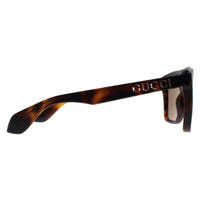 Gucci Sunglasses GG1570S 002 Dark Havana Brown
