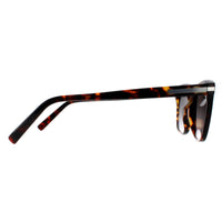 Salvatore Ferragamo Sunglasses SF992S 219 Havana Grey