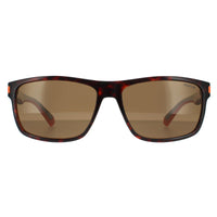 Polaroid Sunglasses PLD 2121/S L9G SP Havana Orange Bronze Polarized