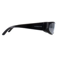 Arnette Sunglasses AN4302 Catfish 2900Z3 Recycled Black Silver