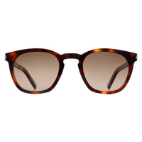 Saint Laurent Sunglasses SL28 048 Havana Brown Gradient