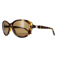 Ted Baker Sunglasses TB1315 Cougar 122 Havana Brown Gradient