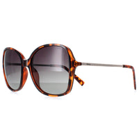 INVU Sunglasses B2133 B Demi Tortoise Brown Brown Polarized