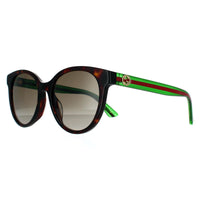 Gucci Sunglasses GG0702SKN 003 Havana With Green and Red Brown Gradient