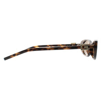 Gucci Sunglasses GG1680S 004 Havana Brown