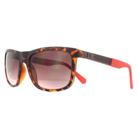 Guess Sunglasses GU6843 52F Dark Havana Brown Gradient