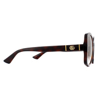 Gucci Sunglasses GG0762S 002 Havana Brown Gradient
