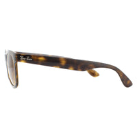 Ray-Ban Sunglasses RB4640 710/M2 Shiny Havana Brown Gradient Polarized