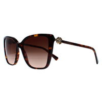 Bvlgari Sunglasses BV8247B 504/13 Havana Brown Gradient