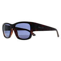 Polar Sunglasses Jade COL.428/N Havana Blue