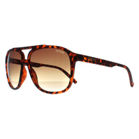 Guess Sunglasses GF5084 52F Brown Brown Gradient