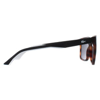 Lacoste Sunglasses L972S 230 Matte Havana Grey