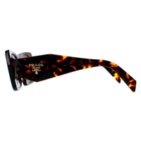Prada Sunglasses PR08YS 01V8C1 Honey Havana Dark Brown