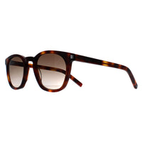 Saint Laurent Sunglasses SL28 048 Havana Brown Gradient