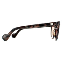 Moncler Sunglasses ML0015 55U Coloured Havana Bordeaux Mirror