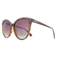 Polaroid Sunglasses PLD 4086/S 086/JR Havana Burgundy Gradient Polarized