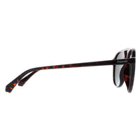 Polaroid Sunglasses PLD 4162/S 086 UC Havana Green Polarized