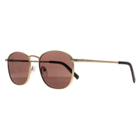 Calvin Klein Sunglasses CK20122S 717 Matte Gold Solid Brown