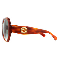 Gucci Sunglasses GG0796S 003 Havana Blue Gradient