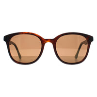 Serengeti Sunglasses Mara 8770 Matte Tortoise Polarized Drivers Gold