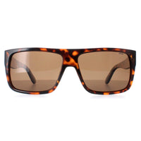 INVU Sunglasses B2130 B Demi Tortoise Brown Brown Polarized