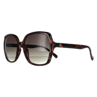 Smarty Sunglasses X2110 D Tortoise Brown Grey