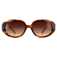 Ted Baker Sunglasses TB1689 Penny 104 Brown Horn Brown Gradient