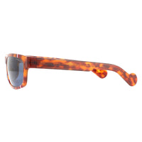 Moncler Sunglasses ML0114 53V Havana Blue