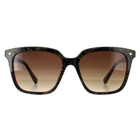 Ted Baker Sunglasses TB1676 Ramona 149 Double Champagne Demi Brown Gradient