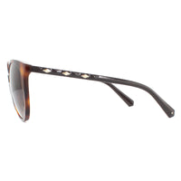 Swarovski Sunglasses SK0223 52F Dark Havana Brown Gradient