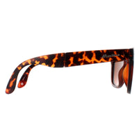 Montana Sunglasses FS40 A Turtle Brown Polarized