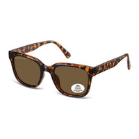 Montana Sunglasses MP54 B Shiny Turtle Brown Polarized