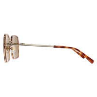 Gucci Sunglasses GG1848S 002 Havana Gold Brown