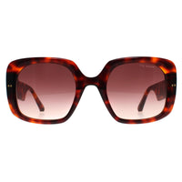 Ted Baker Sunglasses TB1730 Catrina 100 Tortoise Brown Gradient
