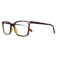 Polaroid Glasses Frames PLD D499 086 Havana Men