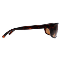 Serengeti Sunglasses Bormio 8166 Matte Dark Tortoise PhD 2.0 Polarized Drivers Brown